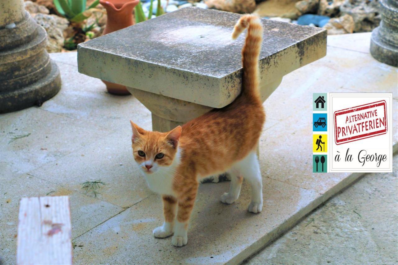 Isminis Petroktisto Holidays Stonehouse Palechori Экстерьер фото